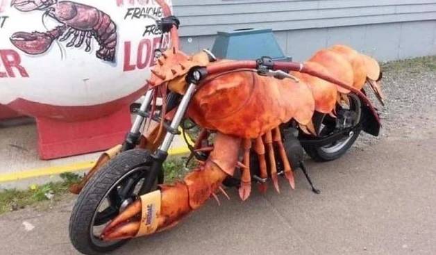 Funny Picture Thread [14]-lobster.jpg