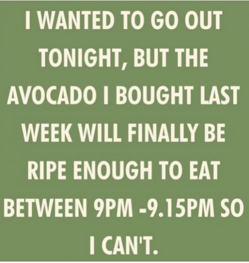 Funny Picture Thread [14]-avacado-ripe-tonight.jpg