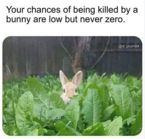 Funny Picture Thread [14]-killer-rabbit.jpg