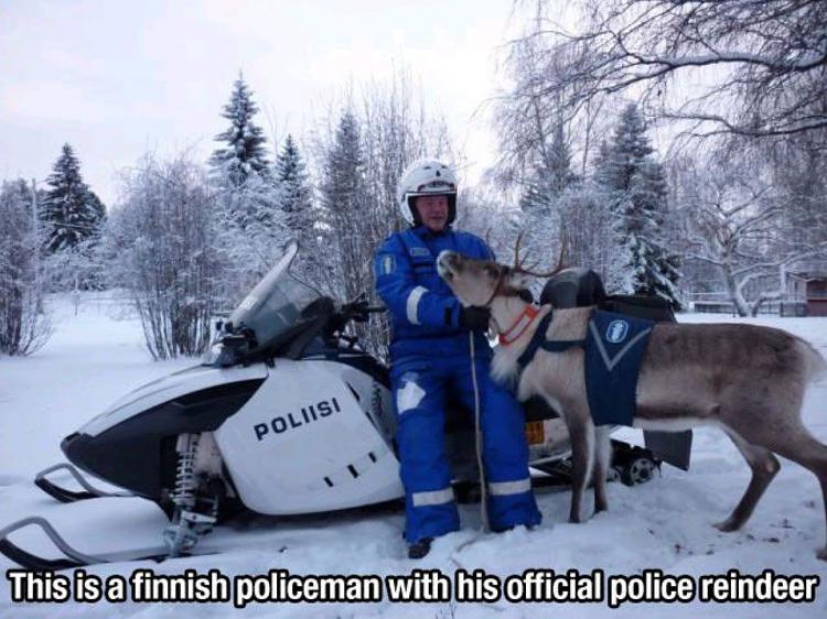 Funny Picture Thread [14]-police-lapland.jpg