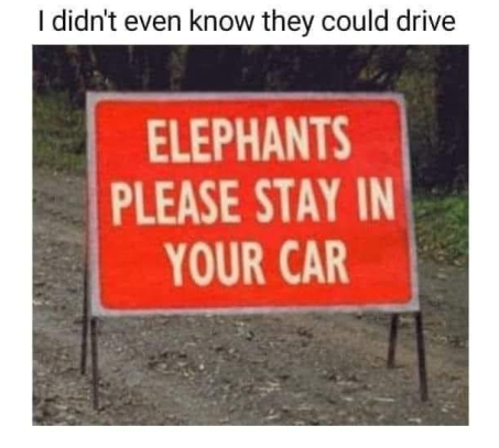 Funny Picture Thread [14]-unusual-signs-7.png