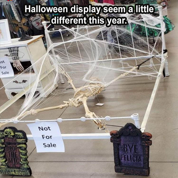 Funny Picture Thread [14]-not-all-halloween-displays-same.jpg