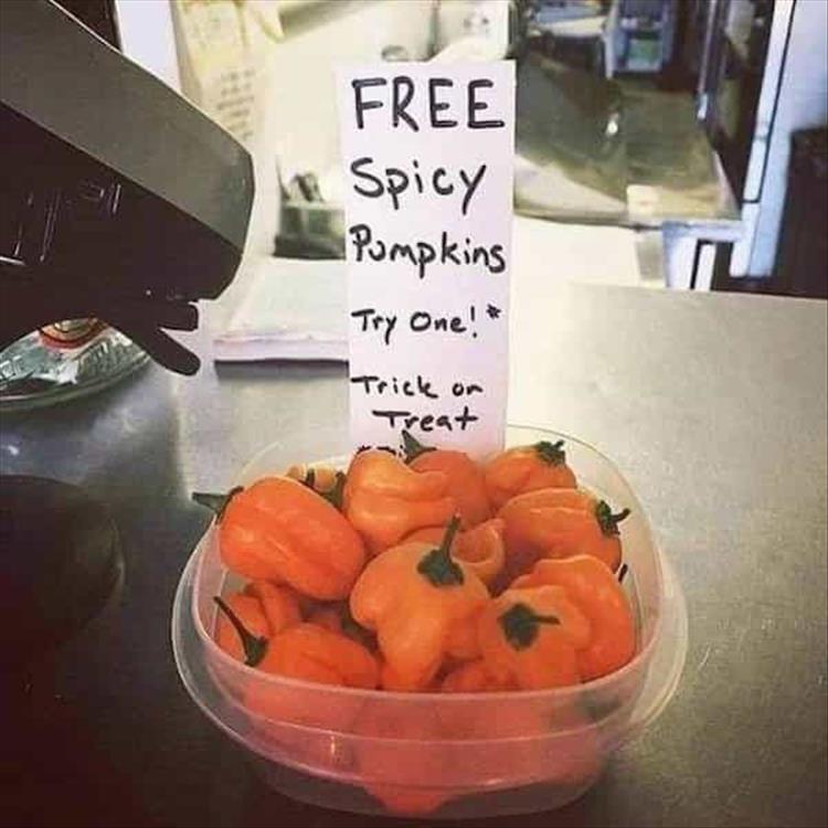 Funny Picture Thread [14]-when-you-have-spicy-pumpkin.jpg