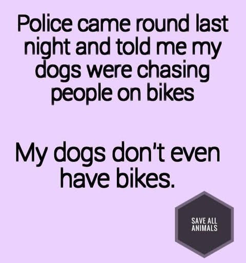 Funny Picture Thread [14]-dog-bikes.jpg