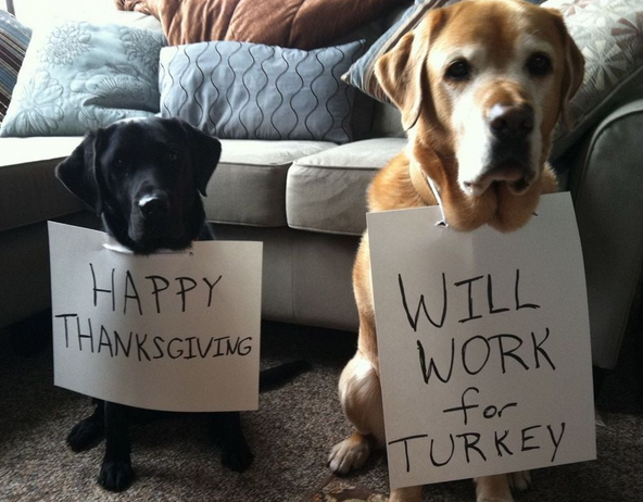 Last One To Post Wins [199]-turkey-dogs.png