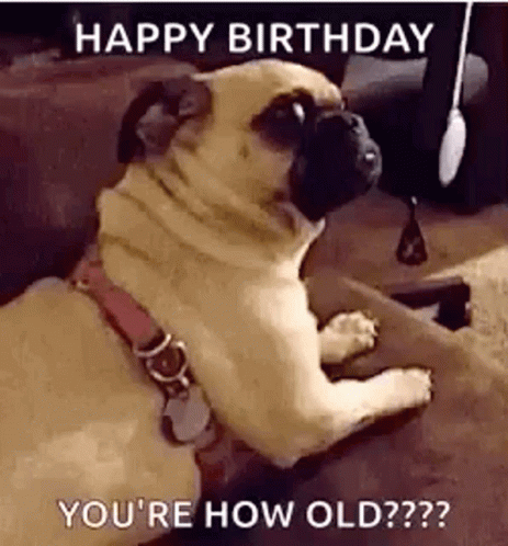 Happy Birthday Thread [4]-youre-how-old-dogs.jpg