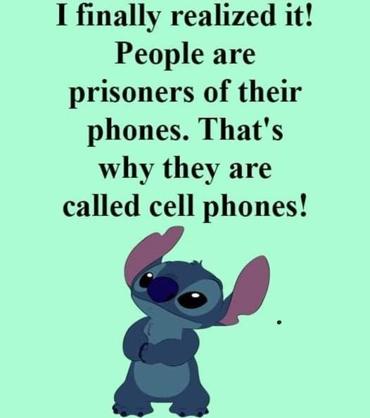 Funny Picture Thread [16]-cell.jpg