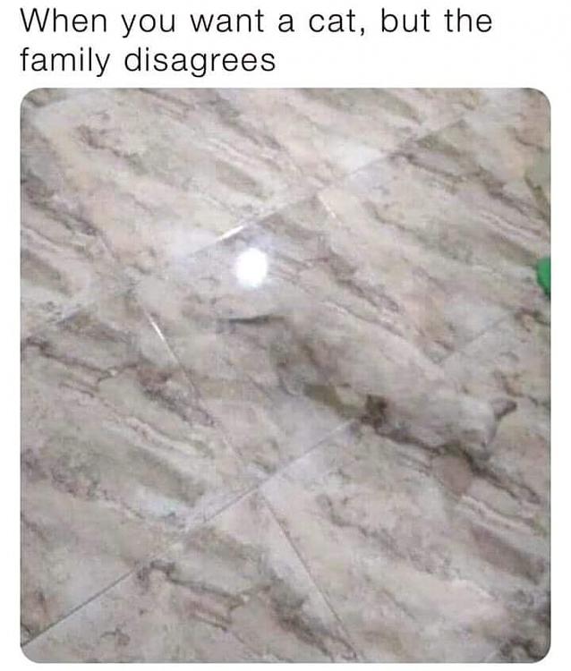 Funny Picture Thread [16]-c0abfhc.jpeg