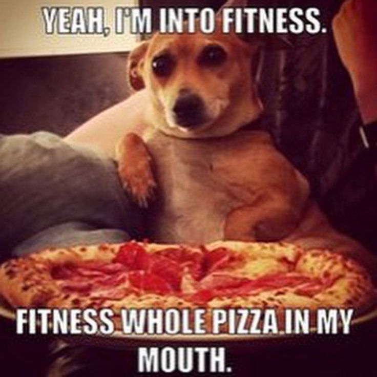 Funny Picture Thread [16]-606283.jpg