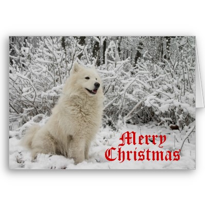 Merry Christmas-wolf_christmas_card_merry_christmas-p137729405903114989qqld_400.jpg