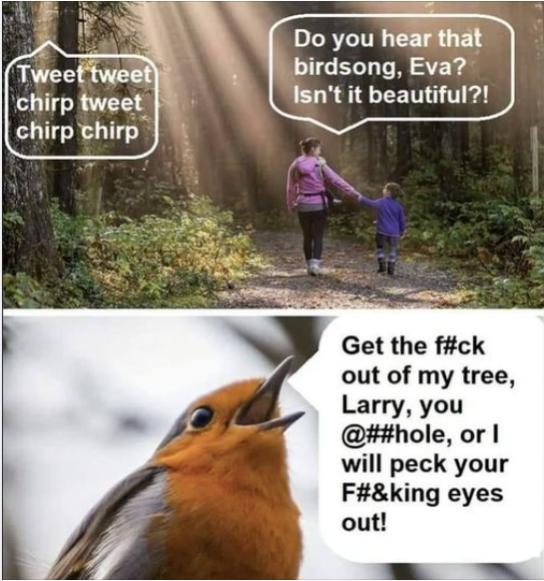 Funny Picture Thread [16]-birds-chirping.jpg