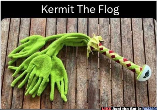 Funny Picture Thread [16]-kermit-flog.jpg