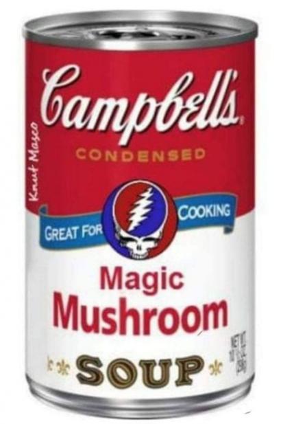 Funny Picture Thread [16]-magic-mushroom-soup.jpg