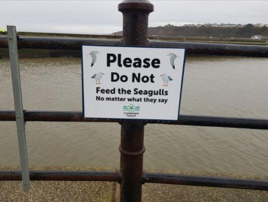Funny Picture Thread [17]-do-not-feed-seagulls.jpg