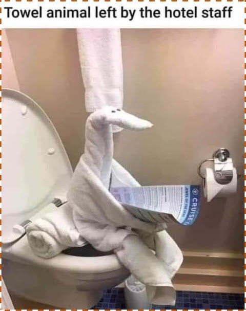 Funny Picture Thread [17]-towel.jpg