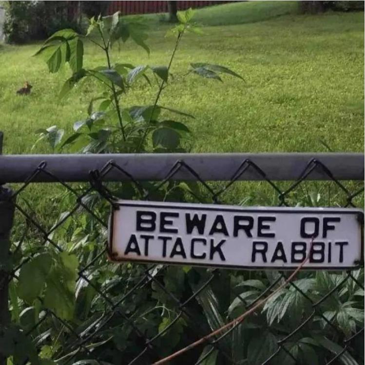 Funny Picture Thread [17]-beware-rabbit.jpg