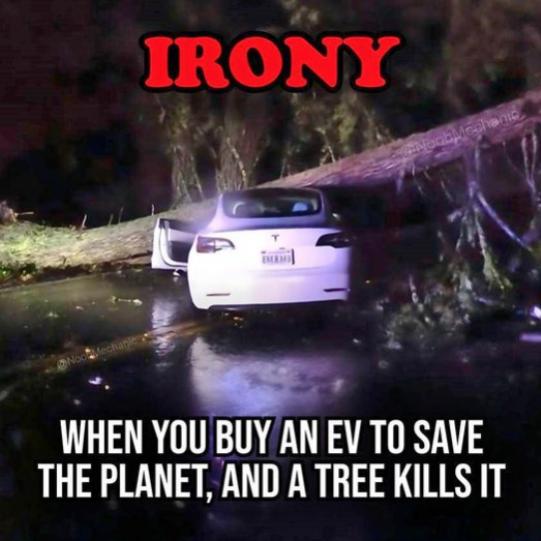 Funny Picture Thread [17]-irony-ev-vs-tree.jpg