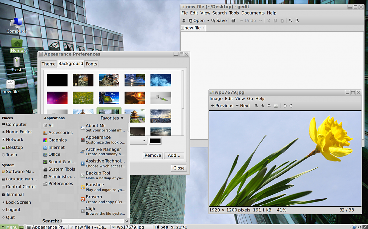 Windows-like Linux OS-mint.png