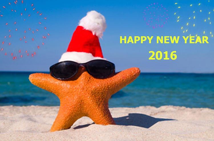 Happy New Year Folks!-starfish2.jpg