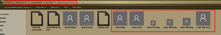 Is it possible to modify the default User Icon on the login screen?-000071.png