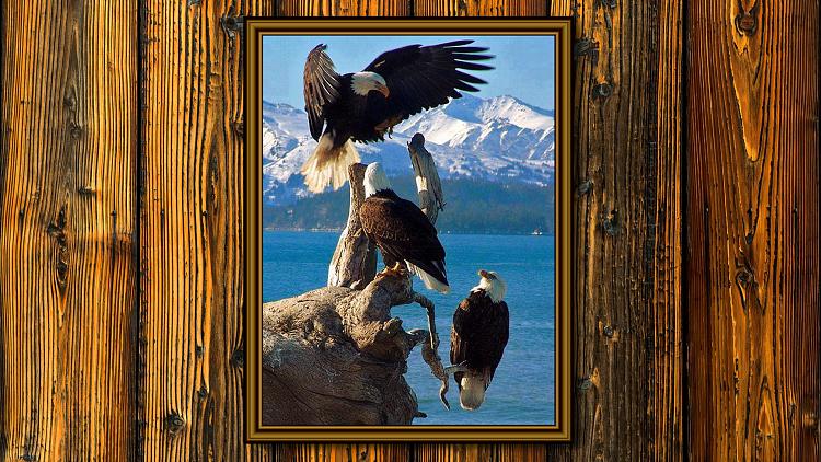 My favorite-eagles-waood-wall.jpg