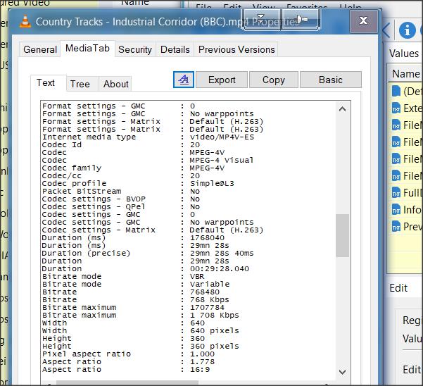 Showing Video Aspect Ratio in File Info Tooltip-2.jpg