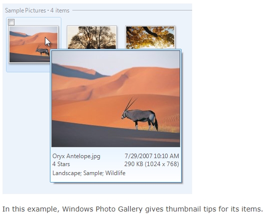 Showing Video Aspect Ratio in File Info Tooltip-000537.jpg