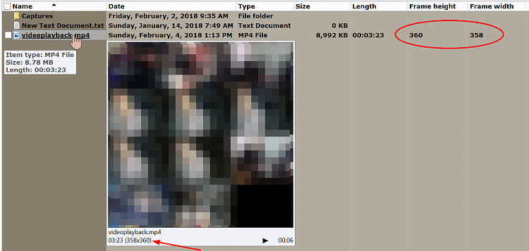 Showing Video Aspect Ratio in File Info Tooltip-000220.png