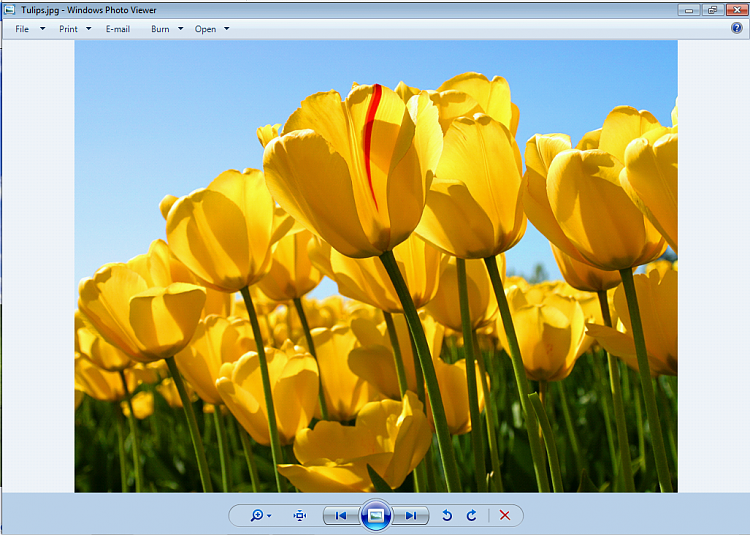 Customize background color in Windows picture viewer, How?-photo-viewer-w7.png