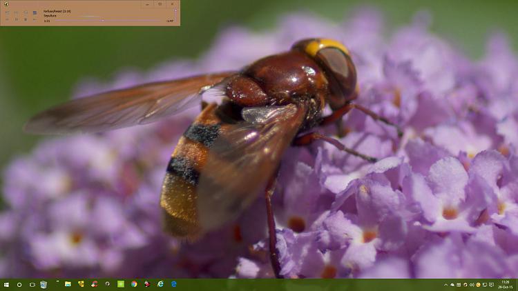 Windows 10 Themes created by Ten Forums members-screenshot-211-.jpg