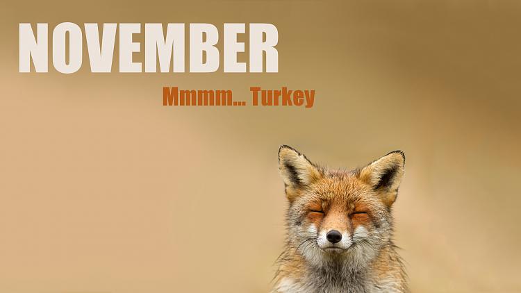 Windows 10 Themes created by Ten Forums members-thanksgiving-november-wolf-turkey-wallpaper.jpg