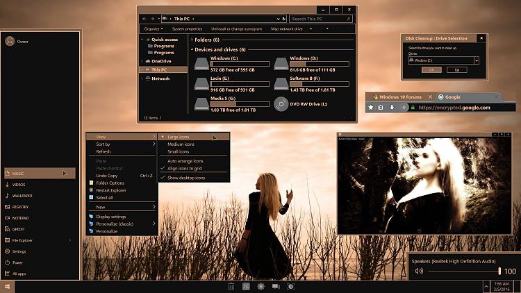 Windows 10 Themes created by Ten Forums members-desktop.jpg