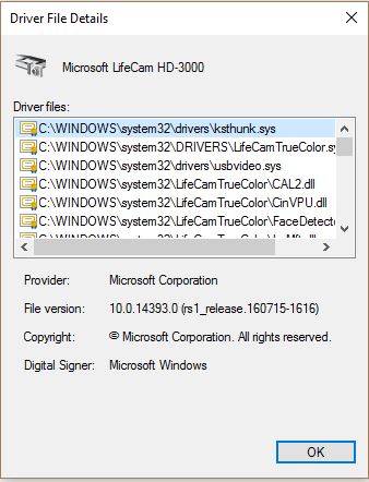 Microsoft Life cam-lifecam_driver-file-details.jpg