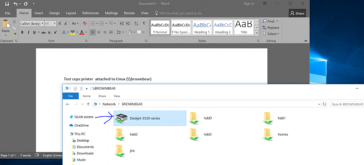 HP Deskjet 3520 doesn't print on W10 CU update-networkpr.png