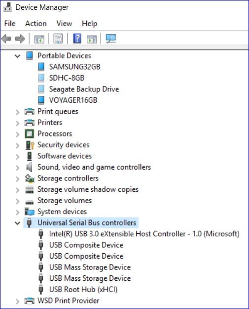Can't Rename Drive Label in Windows 10-windows10devicemanager.jpg