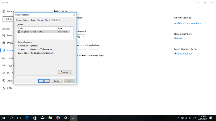 Synaptics Driver Doesn't Work On Windows 10 Pro-mousesettings.png