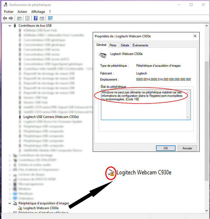 overliggende insulator Let Logitech Webcam C930e Driver issue (code 19) on Win 10 LTSB - Windows 10  Forums