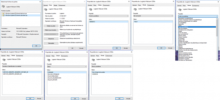 overliggende insulator Let Logitech Webcam C930e Driver issue (code 19) on Win 10 LTSB - Windows 10  Forums