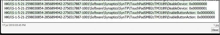 TouchPad problem-1.jpg