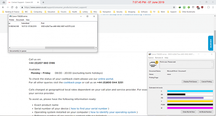Printing problem - port in use-screenshot-07_06_2019-19_07_54.png