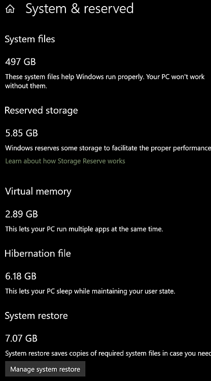 Storage showing as double the actual SSD size-capture2.png