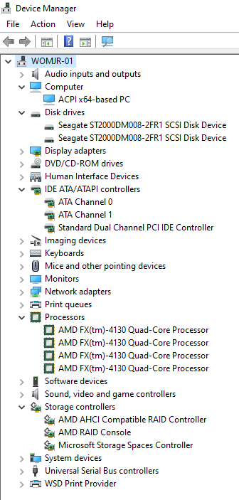 Replacing hard drives on RAID 1-device-manager.png