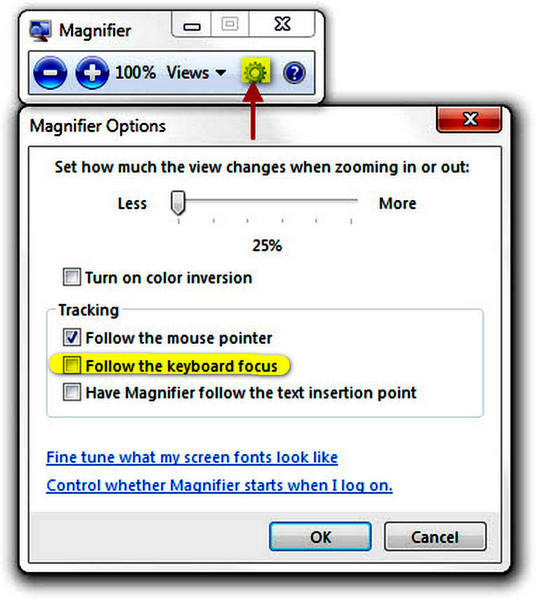 Magnifier-options.jpg