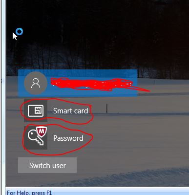 How do I remove &quot;Smart Card&quot; and &quot;McAfee Password&quot; icon from the logon-icons.jpg