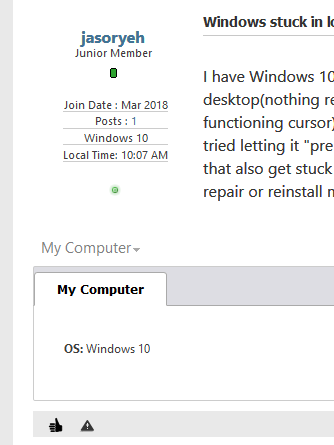 Windows stuck in looping loading, cannot repair with installation disk-image.png