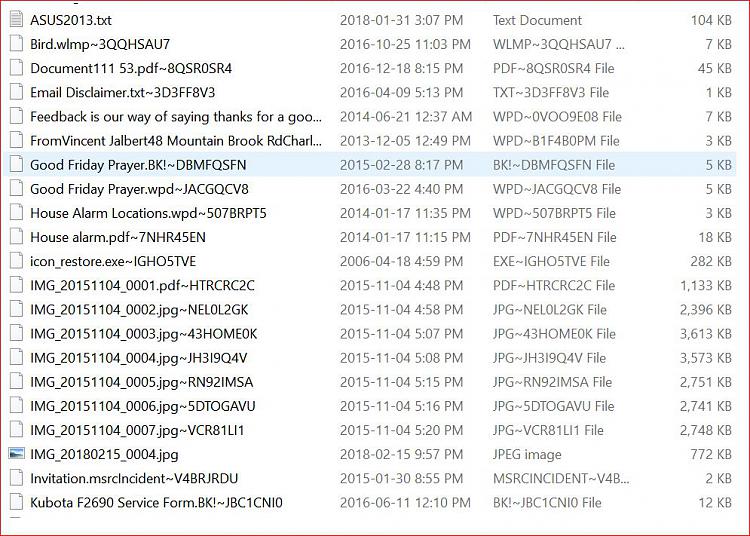 Duplicate Files with very odd file extensions-duplicate-example2-apr-10-2018.jpg
