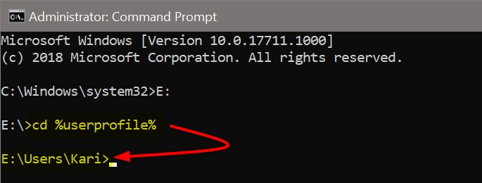 What is meant with: &quot;Windows 10 Pro 64 WE (EN/FR/DE/NL/IT)&quot; ?-image.png