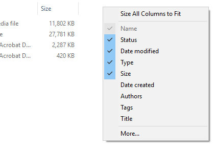 How to make a Win Explorer column option permanently a top of menu?-windows-explorer-column-options_1.png
