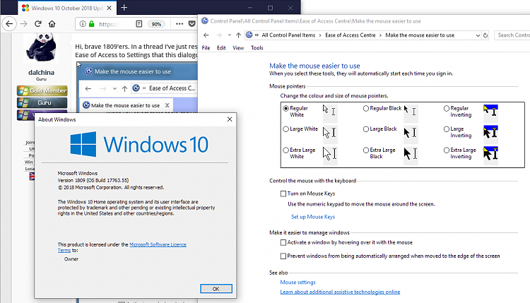 Win 10 1809 - mouse autoclicking on windows-1809-ease-access-mouse-settings.png