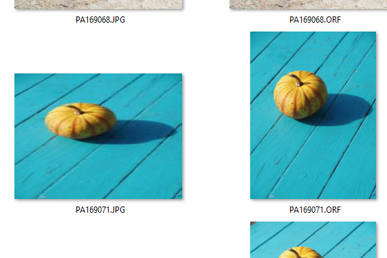JPG Thumbnails of vertical JPG images are displayed as horizontal imag-thumbnail.jpg